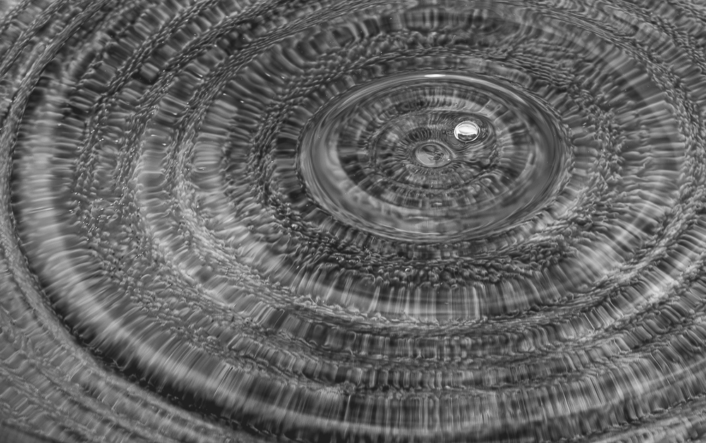 Platz 4 Anton Kienle